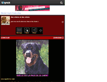 Tablet Screenshot of chien-chiot.skyrock.com