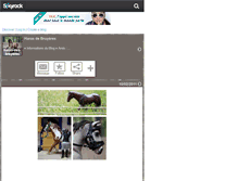 Tablet Screenshot of haras-des-bruyeres.skyrock.com