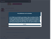 Tablet Screenshot of musikcliptraduction.skyrock.com