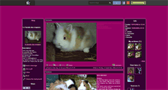 Desktop Screenshot of le-paradis-des-rongeurs.skyrock.com