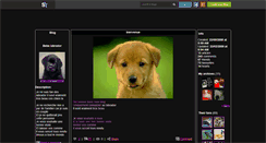 Desktop Screenshot of bebe-labrador2318.skyrock.com