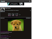 Tablet Screenshot of bebe-labrador2318.skyrock.com