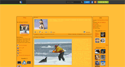 Desktop Screenshot of animauxtorturer.skyrock.com