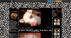 Desktop Screenshot of chihuahua-addict.skyrock.com