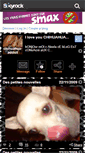 Mobile Screenshot of chihuahua-addict.skyrock.com