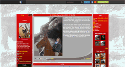 Desktop Screenshot of froufrou93.skyrock.com