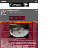 Tablet Screenshot of grenouilledebenitier.skyrock.com