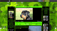 Desktop Screenshot of ecko-29.skyrock.com