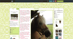 Desktop Screenshot of marie-conseil-equitation.skyrock.com