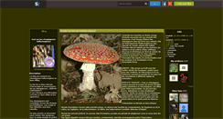 Desktop Screenshot of champignons-magiques.skyrock.com