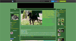 Desktop Screenshot of jagdterrier.skyrock.com