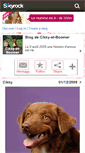 Mobile Screenshot of cikky-et-boomer.skyrock.com