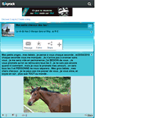 Tablet Screenshot of chevauxdesiles.skyrock.com