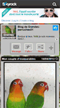 Mobile Screenshot of grandes-perruches01.skyrock.com
