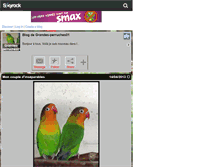 Tablet Screenshot of grandes-perruches01.skyrock.com