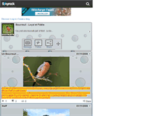 Tablet Screenshot of bouvreuil79.skyrock.com