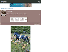 Tablet Screenshot of headbang-breyer.skyrock.com