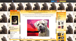 Desktop Screenshot of canecorso79.skyrock.com