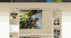 Desktop Screenshot of maxiguana.skyrock.com