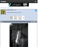 Tablet Screenshot of horslife.skyrock.com
