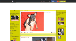 Desktop Screenshot of anis-mini-chien.skyrock.com