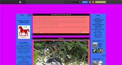 Desktop Screenshot of ce-des-crinieres-dor.skyrock.com