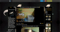 Desktop Screenshot of gecko0yaniixx.skyrock.com