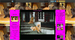 Desktop Screenshot of chow-chow26.skyrock.com