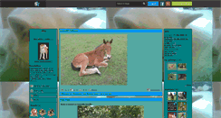 Desktop Screenshot of akita-passion2007.skyrock.com