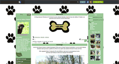 Desktop Screenshot of gaya-labrador.skyrock.com