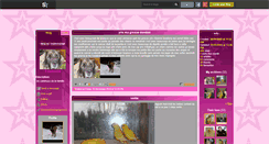 Desktop Screenshot of chantchantal.skyrock.com