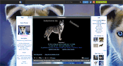 Desktop Screenshot of huskyforever.skyrock.com