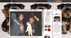 Desktop Screenshot of amourdesanimaux706.skyrock.com