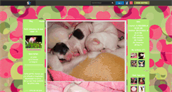 Desktop Screenshot of lanna-chihuahua.skyrock.com