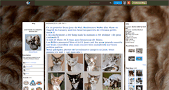 Desktop Screenshot of devonrex83.skyrock.com