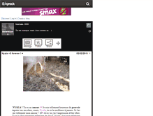 Tablet Screenshot of bellenoue-x.skyrock.com