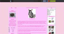 Desktop Screenshot of chinchillasweetdreams.skyrock.com