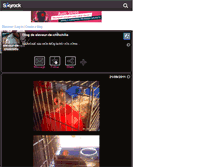 Tablet Screenshot of eleveur-de-chinchilla.skyrock.com