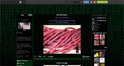 Desktop Screenshot of lylaz.skyrock.com