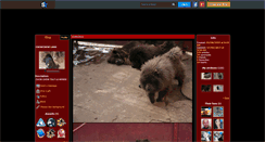 Desktop Screenshot of chowchow67.skyrock.com