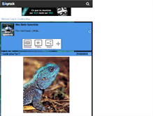 Tablet Screenshot of betta-splendide.skyrock.com