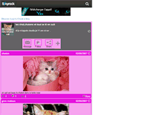 Tablet Screenshot of cat-cat-and-cat.skyrock.com