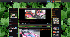 Desktop Screenshot of bugboy62.skyrock.com