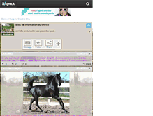 Tablet Screenshot of information-du-cheval.skyrock.com