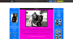 Desktop Screenshot of chiensinfospratiques.skyrock.com