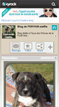 Mobile Screenshot of ferya08-staffie.skyrock.com