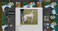 Desktop Screenshot of daisy0104.skyrock.com