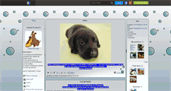 Desktop Screenshot of chiens-de-races.skyrock.com