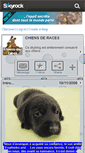 Mobile Screenshot of chiens-de-races.skyrock.com