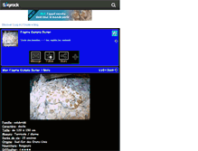 Tablet Screenshot of elaphe91.skyrock.com